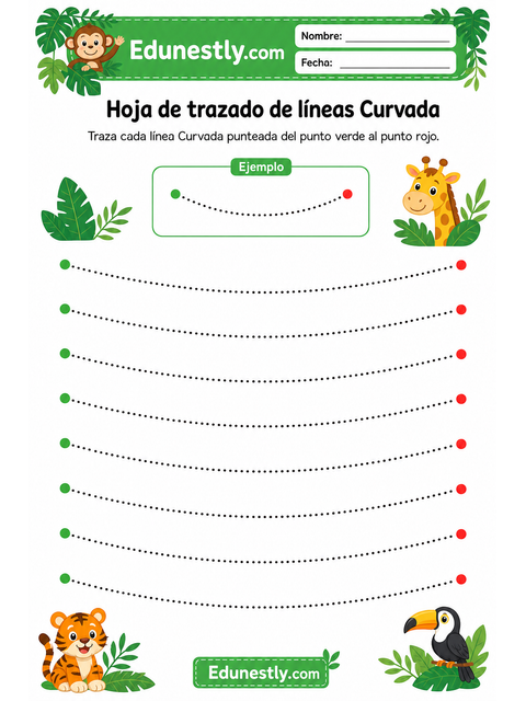 Hoja de trazado de líneas Curvada