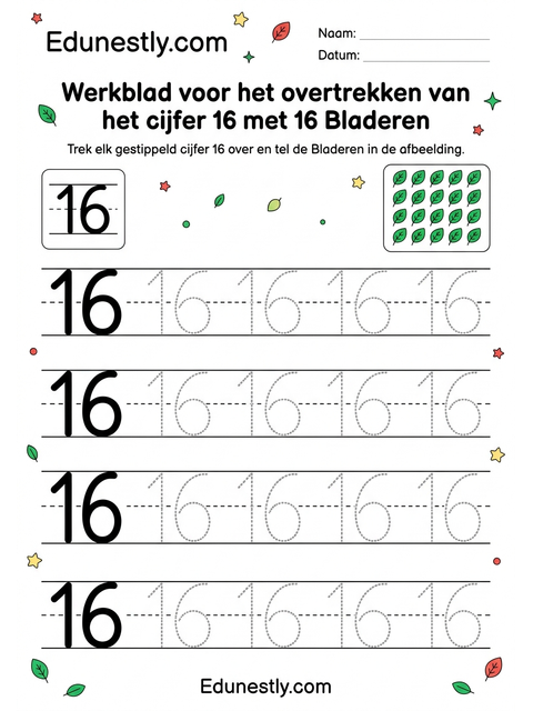 Werkblad voor het overtrekken van het cijfer 16 met 16 Bladeren