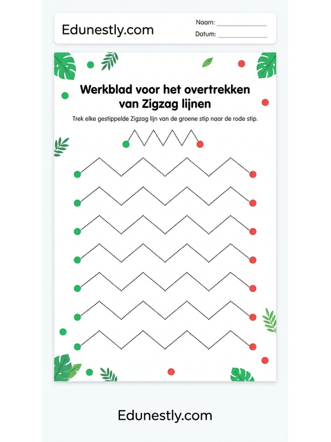 Werkblad voor het overtrekken van Zigzag lijnen