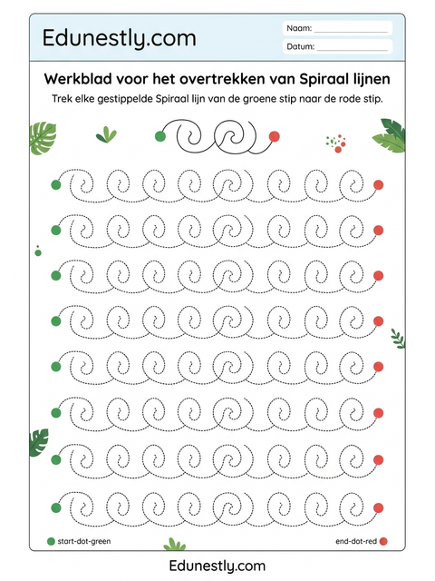 Werkblad voor het overtrekken van Spiraal lijnen