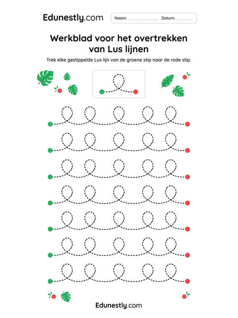 Werkblad voor het overtrekken van Lus lijnen