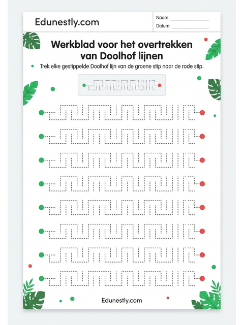 Werkblad voor het overtrekken van Doolhof lijnen